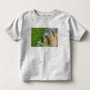 uma marmota sociável no Hoodie do pulôver da
