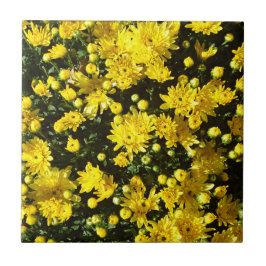 Uma multidão de Mães amarelas