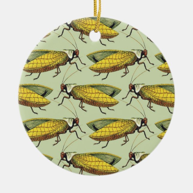 Uma Multidão do Ornamento Katydids (Frente)