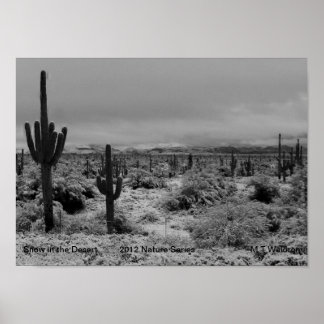 Uma neve de 1 Impressão no deserto 2012