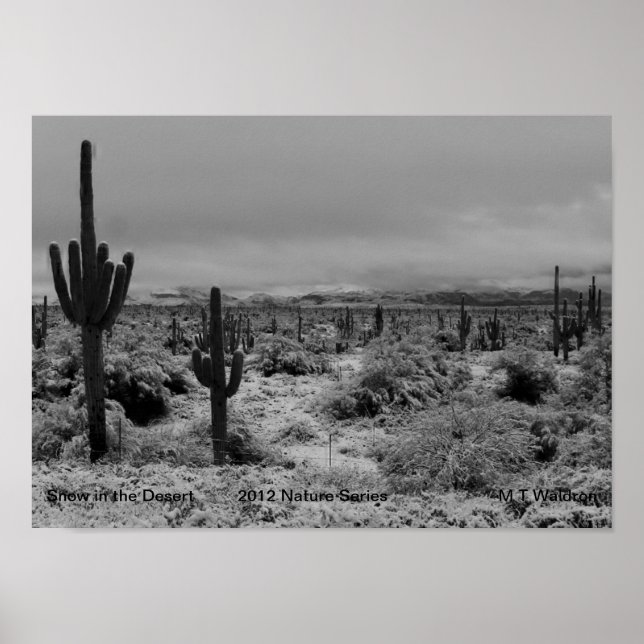 Uma neve de 1 Impressão no deserto 2012 (Frente)