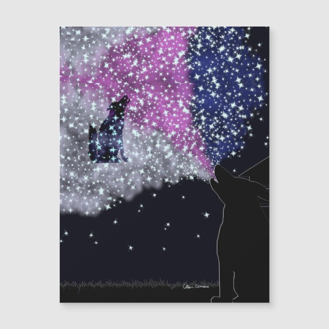 Uma noite de verão com Sirius (Frente)