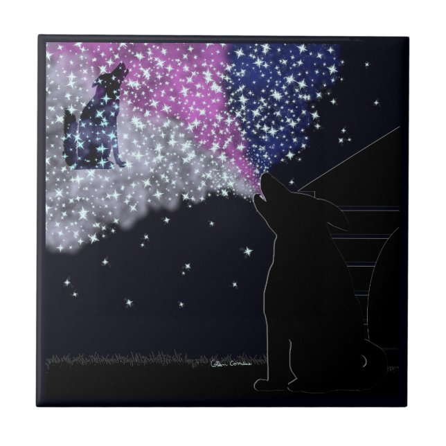 Uma noite de verão com Sirius (Frente)