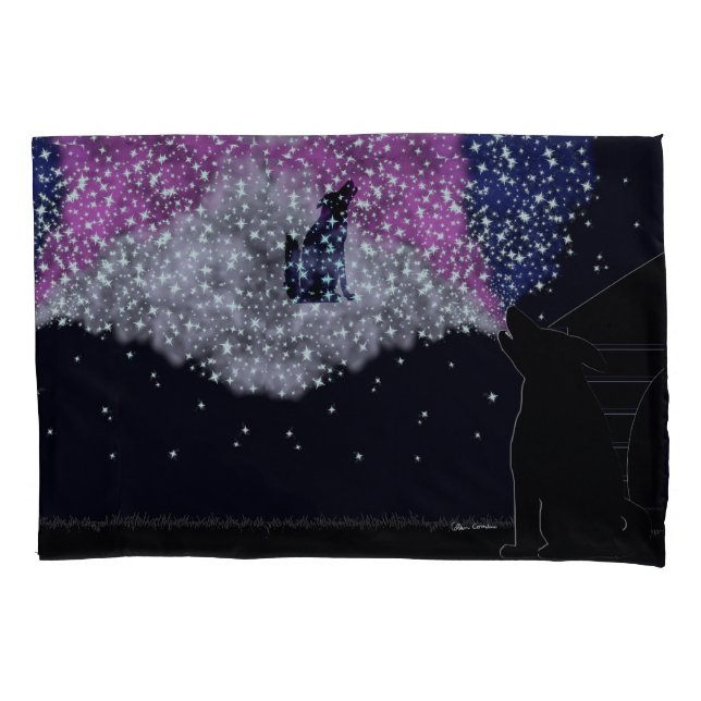Uma noite de verão com Sirius (Frente)