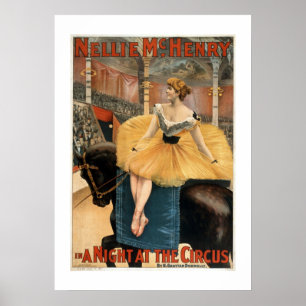 Uma noite no poster do teatro do vintage do circo