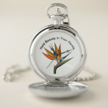 Uma obra-prima miniatura para o seu bolso