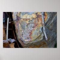 Uma Pedra Colorida Escondida no Poster do Chão da