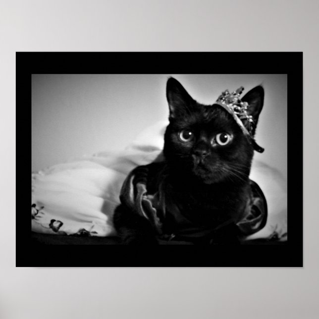 Uma pequena princesa Poster (Frente)