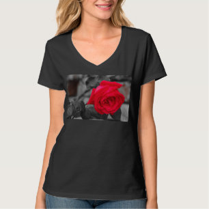 Uma rosa molhada após a chuva em camiseta