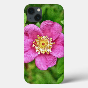 Uma Rosa Selvagem