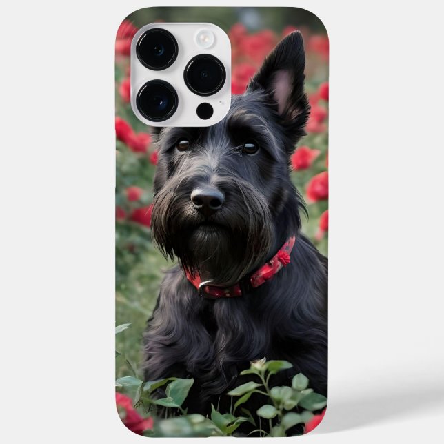 "Uma Rosa vermelha para o Black Scottish Terrier" (Verso)