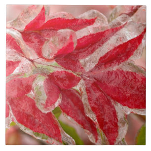 Uma tempestade de gelo de inverno cobrindo as folh