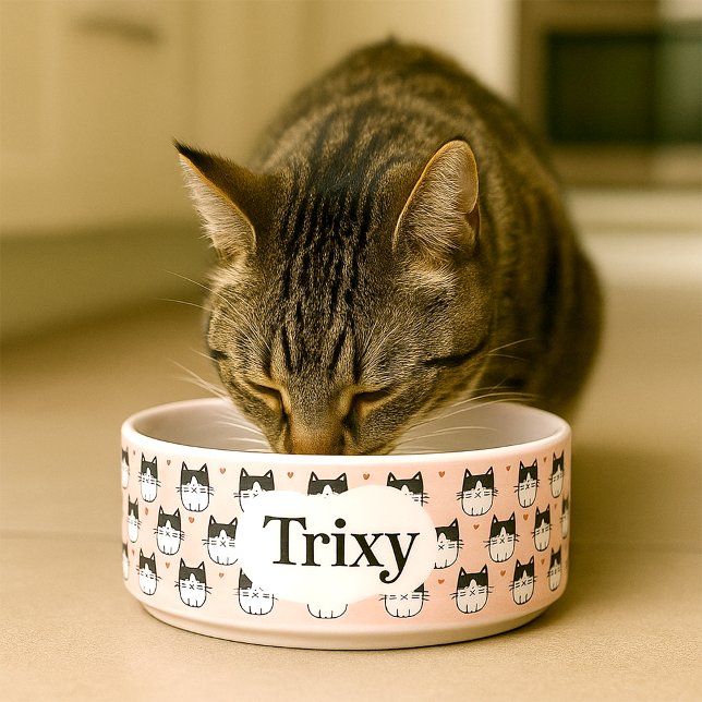 Uma tigela de gatos fofa e personalizada (Personalised  cat bowl with illustrations of cats and editable name)