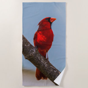 Uma Toalha de Praia Cardinal