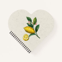 Uma versão ampliada do limão