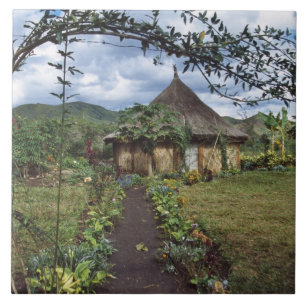 Uma vila nas Terras Altas, Goroka, Papua-Nova Guin
