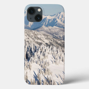 Uma vista cénico de montanhas nevado e de árvore