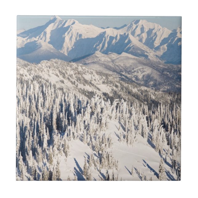 Uma vista cénico de montanhas nevado e de árvores (Frente)