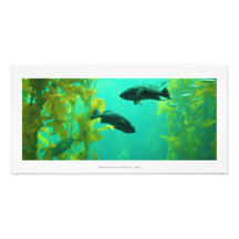 "Underwater Oasis" Impressão de Foto