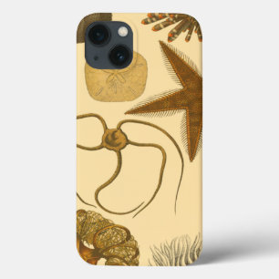 Underwater Sea Creatures
