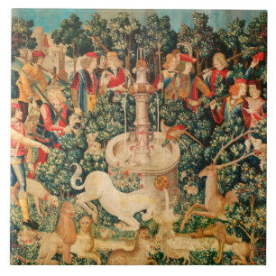 UNICORN FOI ENCONTRADO / Fonte e Outros Animais