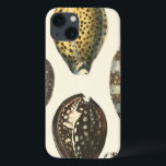 Uniquely Shaped Seashells<br><div class="desc">Lay out on the warm sand and find the hidden treasures! This painting by Kobeit, he captures the beautiful water life found ashore. Kobeit captures the a beautiful array of sepia toned seashells in a vintage tone. Get your beautiful ocean art today on your next Zazzle product.</div>