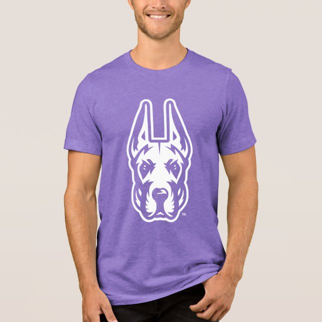 Universidade de Albany Great Dane Mascot Head (Frente)