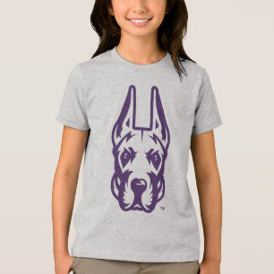 Universidade de Albany Great Dane Mascot Head