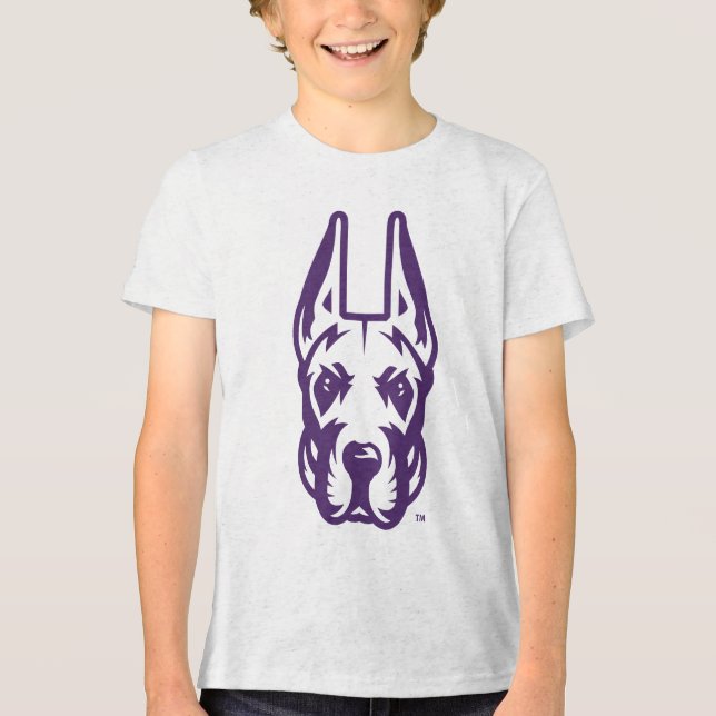 Universidade de Albany Great Dane Mascot Head (Frente)