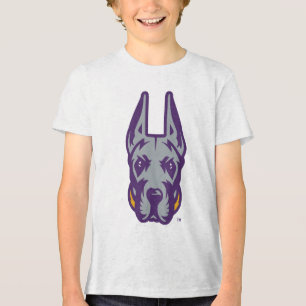 Universidade de Albany Great Dane Mascot Head