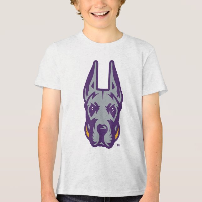 Universidade de Albany Great Dane Mascot Head (Frente)