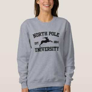 Universidade do Polo Norte