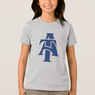 Universidade Estadual da Carolina do Norte A&T L