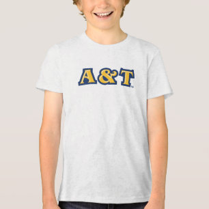 Universidade Estadual da Carolina do Norte A&T   M