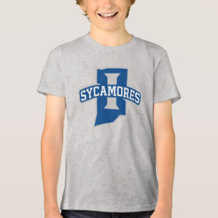 Universidade Estadual de Indiana Sycamores
