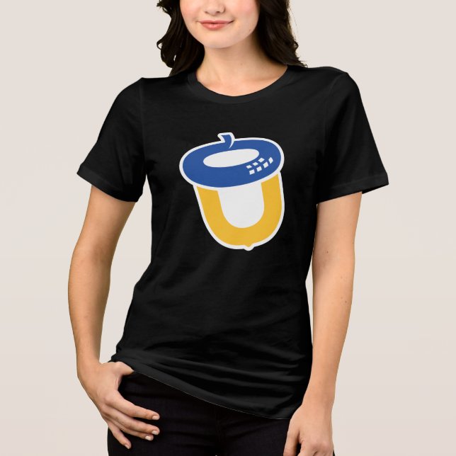 Universidade Oakwood (Frente)