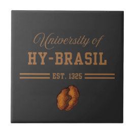 University of Hy-Brasil, Est. 1325