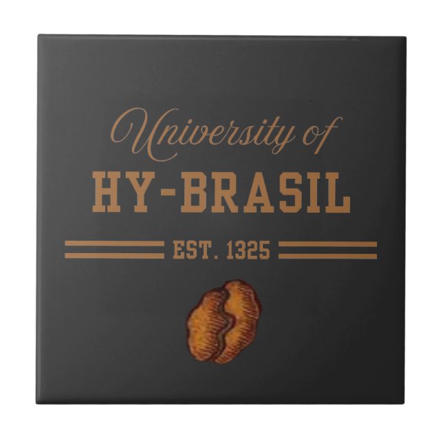 University of Hy-Brasil, Est. 1325 (Frente)