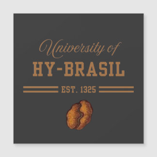 University of Hy-Brasil, Est. 1325