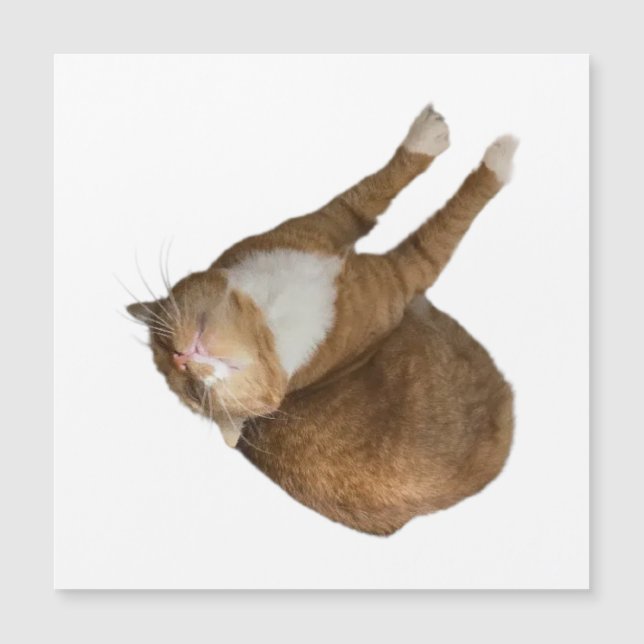 Upside-Down Sunshine (Frente)