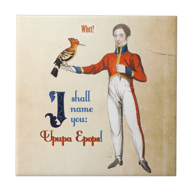 Upupa Epops (Frente)