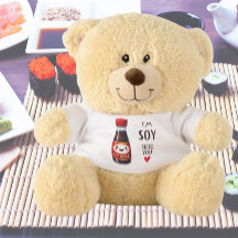 Sou Soy em seu Urso de Teddy