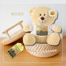 Urso WISH de Adiela Akoo