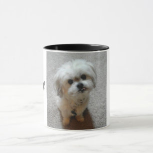 Urso da Caneca Malshi