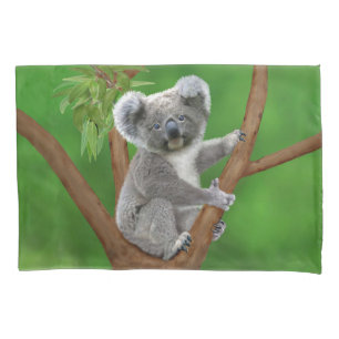 Urso de Koala de olhos azuis do bebê