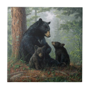 Urso de Momma