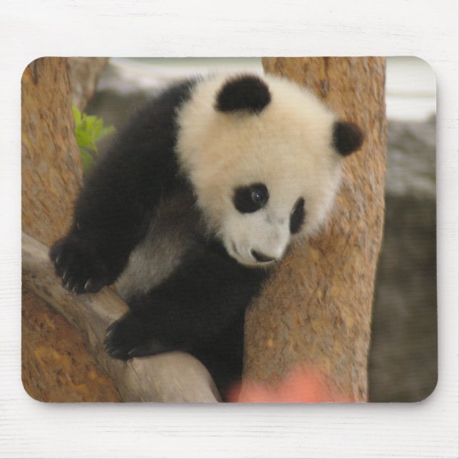 Urso de panda gigante Mousepad (Frente)