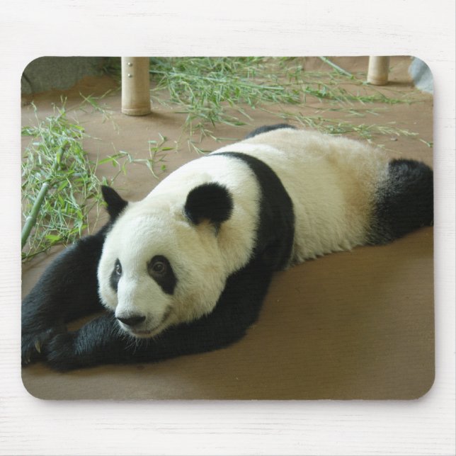 Urso de panda gigante Mousepad (Frente)