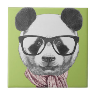 Urso de panda pronto do inverno