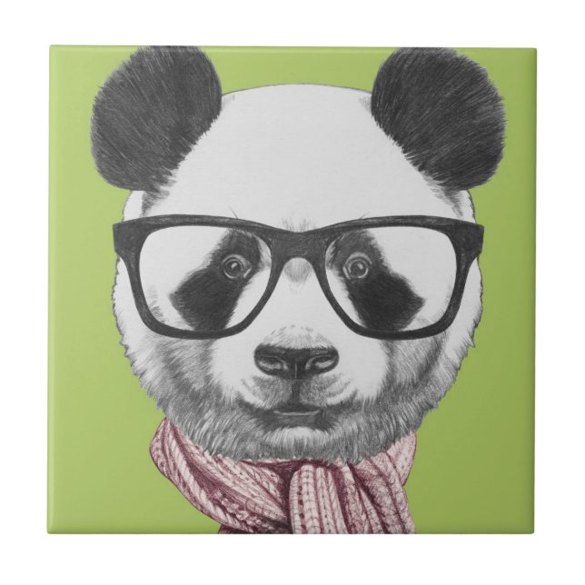 Urso de panda pronto do inverno (Frente)